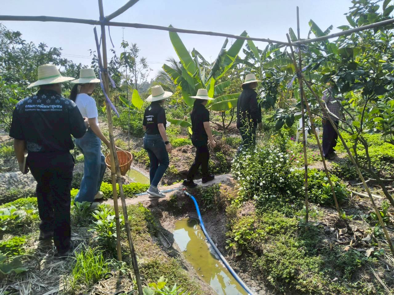 บ้านหนองหวาย ต้นแบบความร่วมมือ ผนึกกำลังสร้าง "คลังอาหารชุมชน" สู่ความยั่งยืน